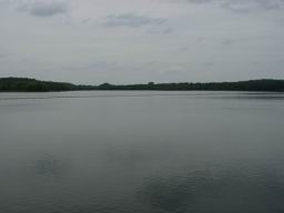Springfield lake.JPG